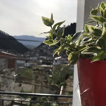 Bellavista 招待所 培拉特